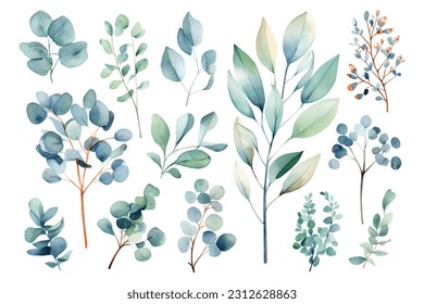 Set of watercolor vector branches of eucalyptus