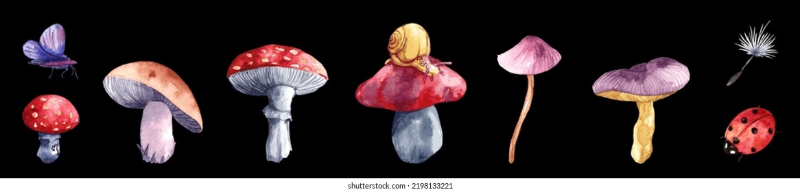 A set of watercolor vector elements of mushrooms. Original hand-painted artworks were scanned, isolated, layered and vectorized with only 30 colors. A collection of botanical hand-drawn illustrations.