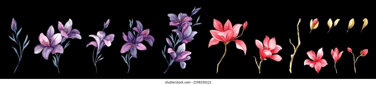 A set of watercolor vector elements of pink and purple Lilies. Artworks were scanned, isolated, layered and vectorized with 30 colors. A collection of selectable floral hand-drawn illustrations.