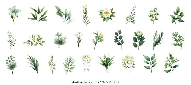 Set of watercolor vector set of fall branches isolated on a white background.