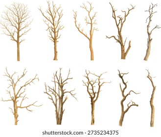 set of Watercolor vector Illustrator Bare Tree Branch Isolated on White Background