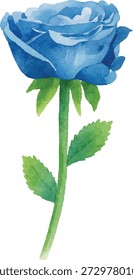 set of Watercolor Vector Illustrator Blue Rose with Green Leaves, Isolated on White Background