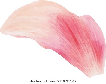 set of Watercolor vector illustrator of a pink flower petal isolated on white background.