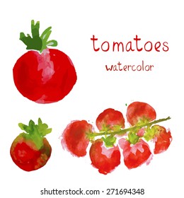 Set of watercolor vector objects. Organic food illustration.