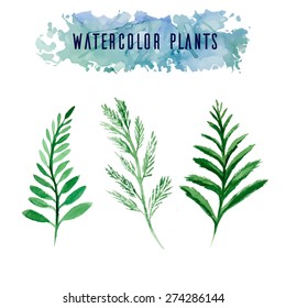 Set with watercolor vector plants