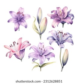 Set of watercolor vector purple lilies