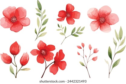 Set of watercolor vector red floral elements on white background. Floral poster, 8 march, valentine day, wedding cards, greeting cards or invitations