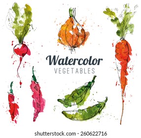 Set Of Watercolor Vegetables
