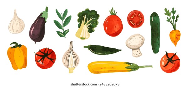 Set of watercolor vegetables. Broccoli, cucumber, eggplant, pepper, garlic, tomato, carrots and other vegetables. Vector illustration.