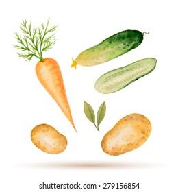 Set of watercolor vegetables, carrot, potato, cucumber. Vector illustration.