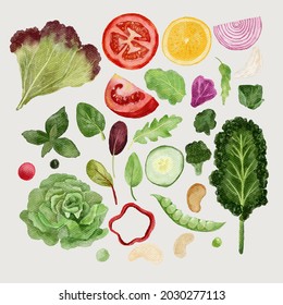 conjunto de ilustraciones de verduras acuarelas