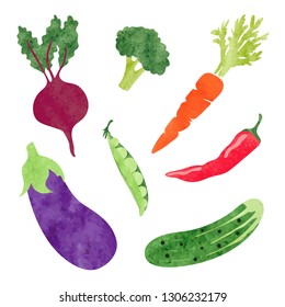 Set of watercolor vegetables. Vector illustration.