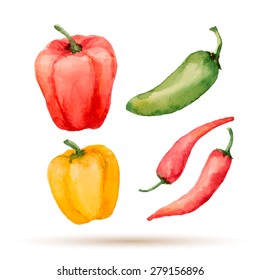 Set of watercolor vegetables,pepper, Chile. Vector illustration.