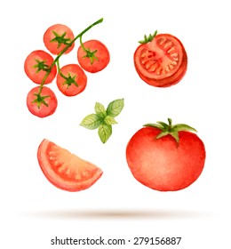 Set of watercolor vegetables,tomato. Vector illustration.
