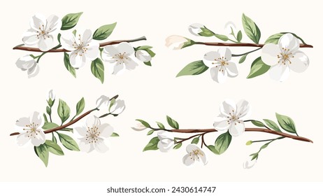 Set of Watercolor white cherry blossoms blooming elements. White cherry green leaves branch, and stem isolated on light background. Suitable for decorative invitations, posters, or cards