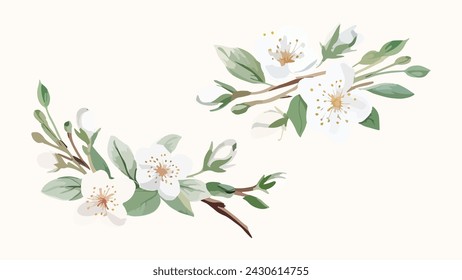 Set of Watercolor white cherry blossoms blooming elements. White cherry green leaves branch, and stem isolated on light background. Suitable for decorative invitations, posters, or cards