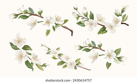 Set of Watercolor white cherry blossoms blooming elements. White cherry green leaves branch, and stem isolated on light background. Suitable for decorative invitations, posters, or cards