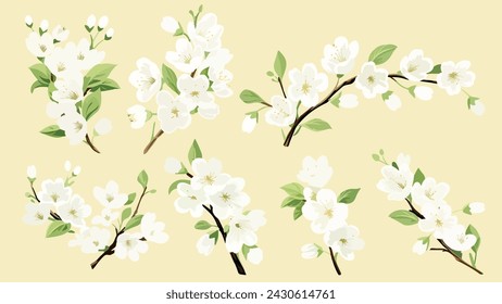 Set of Watercolor white cherry blossoms blooming elements. White cherry green leaves branch, and stem isolated on light background. Suitable for decorative invitations, posters, or cards