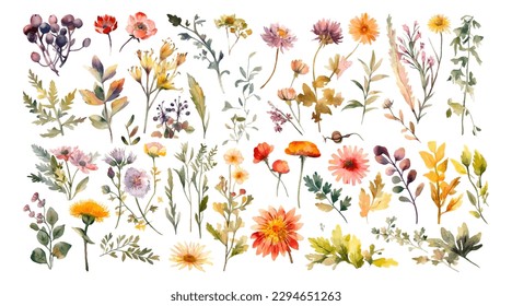Set watercolor wild flowers, leaves and grass. Collection botanic garden elements. Vector isolated illustration in vintage style