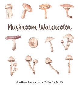 set of watercolor wild mushrooms 