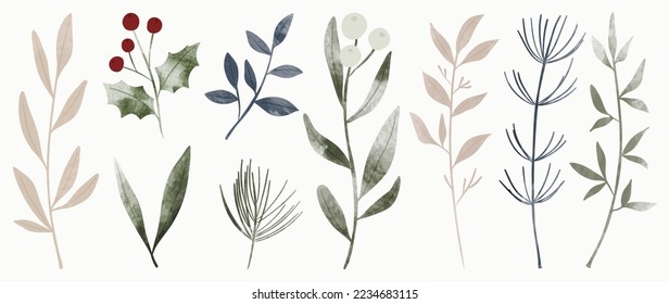 Set of watercolor winter botanical leaf branch on white background. Collection of christmas foliage, pine leaves, holly, mistletoe. Design for print, sticker, decoration, card, poster, artwork.