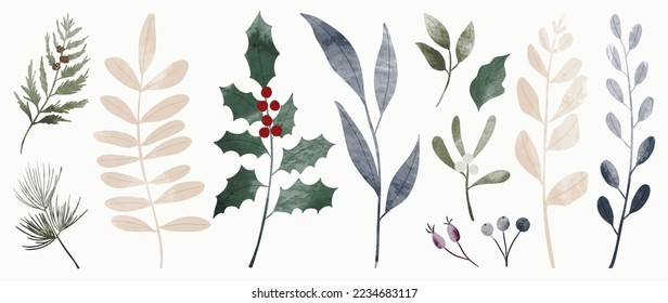 Conjunto de acuarela de la rama de la hoja botánica de invierno sobre fondo blanco. Colección del follaje de navidad, hojas de pino, hueso, mistletoe. Diseño para impresión, pegatina, decoración, tarjeta, afiche, obra de arte.