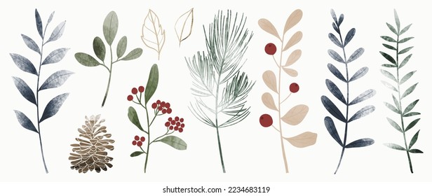 Set of watercolor winter botanical leaf branch on white background. Collection of christmas foliage, pine leaves, pine cone, mistletoe. Design for print, sticker, decoration, card, poster, artwork.