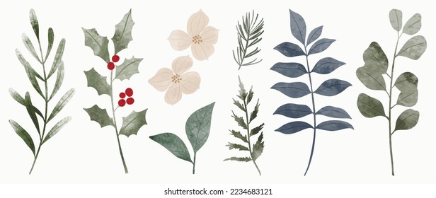 Set of watercolor winter botanical leaf branch on white background. Collection of christmas foliage, pine leaves, holly, mistletoe. Design for print, sticker, decoration, card, poster, artwork.