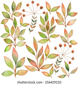 Set of watercolors leaf . Elements for your design. Leaves theme.