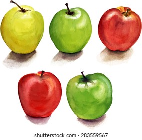 A set of watercolour apples, scalable vector graphic