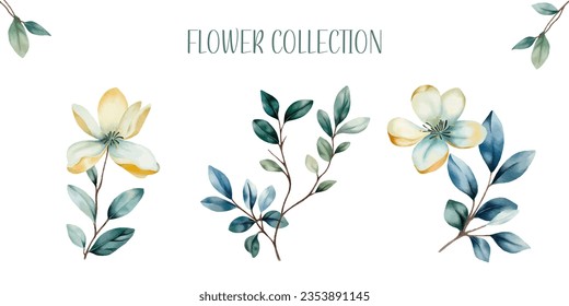 set of watercolour flowers. Hand drawn botanical Illustrations. 