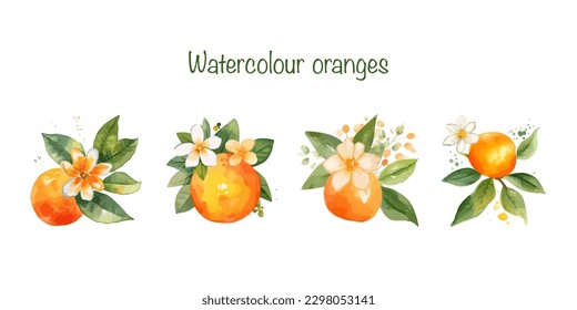 set of watercolour oranges with flowers. Vector stickers for notebook isolated. 