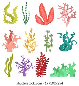 Set of watercolour seaweed. Cartoon vector illustration. Brown, pink, green, yellow ocean algae, sea plants, underwater kelp. Ocean, nature, plant, aquarium concept for banner design or landing page