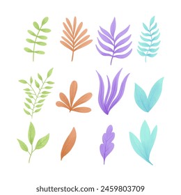 Set of watercolour vector illustration of a seaweed in childish style.