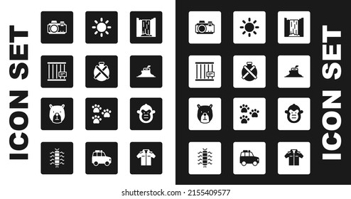 Set Waterfall, Canteen water bottle, Animal cage, Photo camera, Tree stump, Sun, Monkey and Bear head icon. Vector