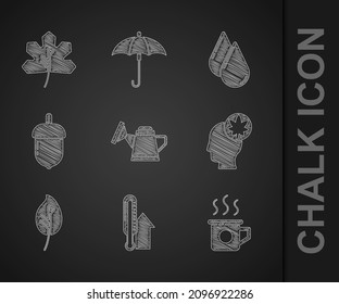 Set Watering can, Meteorology thermometer, Cup of tea, Human head with leaf, Leaf leaves, Acorn, drop and  icon. Vector