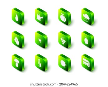 Set Watering can, Peach fruit, Cloud with rain, Plum, Speech bubble text autumn, Grape, Sun and Meteorology thermometer icon. Vector