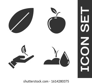 Set Watering sprout, Leaf, Sprout in hand of environmental protection and Apple icon. Vector