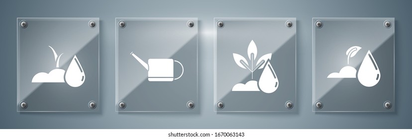 Set Watering sprout, Watering plant, Watering can and Watering sprout. Square glass panels. Vector
