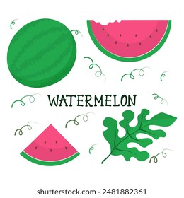 Set of watermelon elements isolated on white background. Slices, seeds, leaf, inscription. Flat vector illustration.