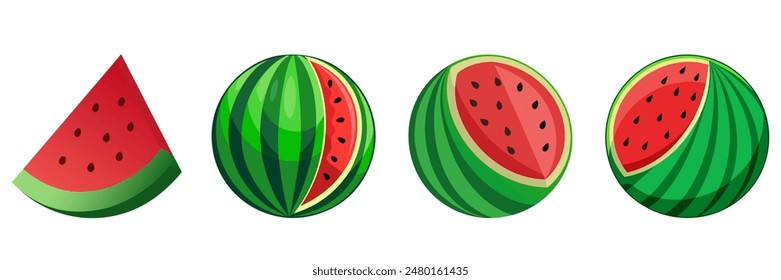 Set of watermelon fruit vector elements.