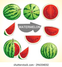 Set of watermelon fruit in whole half and slice in vector format