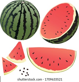 set watermelon on white background