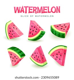 Set of watermelon slices isolated on white background. Vector watermelon illustration