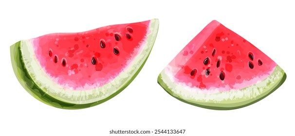 Set of watermelon slices. Vector watercolor illustration