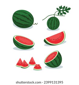 Set of watermelon: whole watermelon, small watermelon, cut lengthwise, cut widthwise, quarter slice, triangle slices. Watermelon set vector illustration isolated on white background