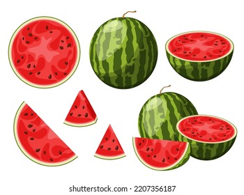 A set of watermelons on a white background. Cartoon design.
