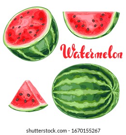 Set of watermelons and slices. Summer fruit decorative illustration.