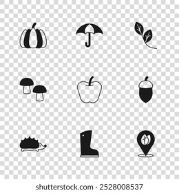 Set Waterproof rubber boot, Acorn, Location with leaf, Apple, Leaf, Pumpkin, Umbrella and Mushroom icon. Vector