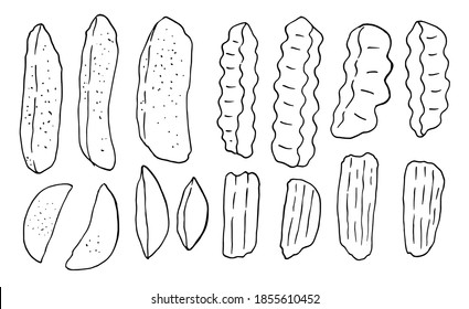 set of Wave Shape French Fries. fried potato. Drawing of knife cuts of vegetable potatoes. Carved culinary ingredient, fast food or street food. Realistic Hand-Drawn Illustration. different types of